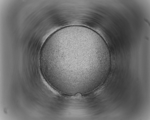 X0000103161142200809051654