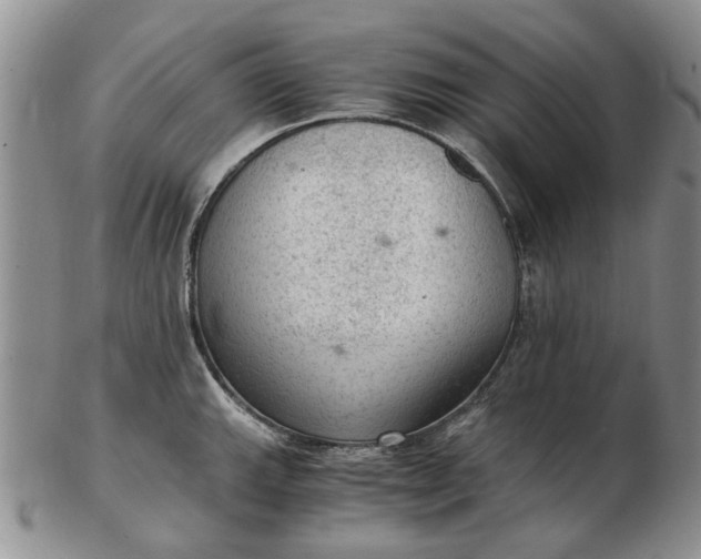 X0000103161143200809051654