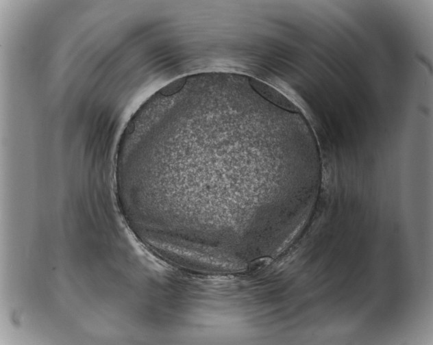 X0000103161144200809051654