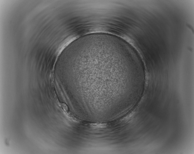 X0000103161145200809051654