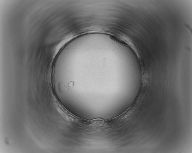 X0000103161146200809051654