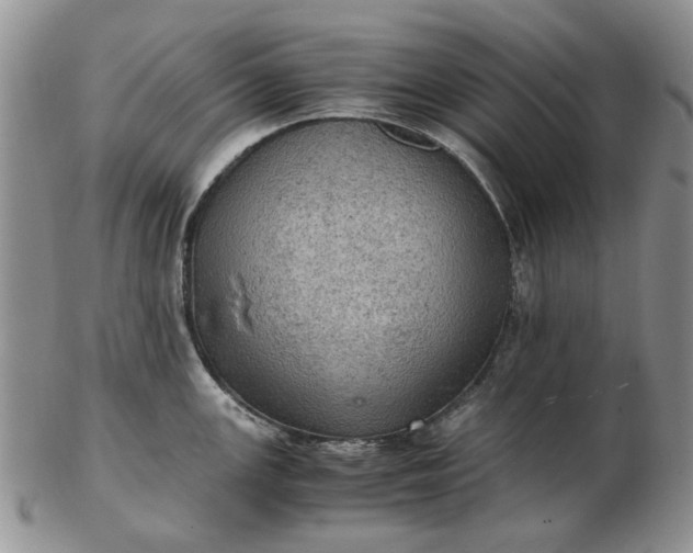 X0000103161147200809051654