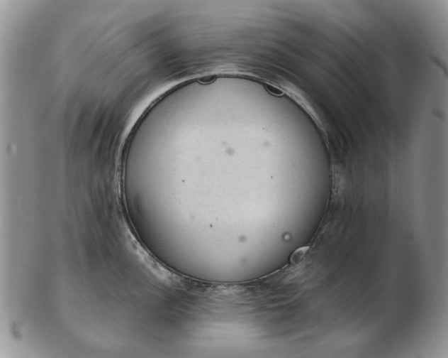 X0000103161148200809051654