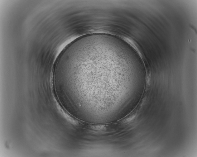 X0000103161149200809051654