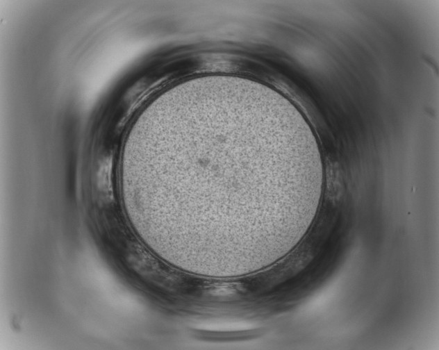 X0000103161150200809051654