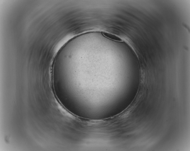 X0000103161151200809051654