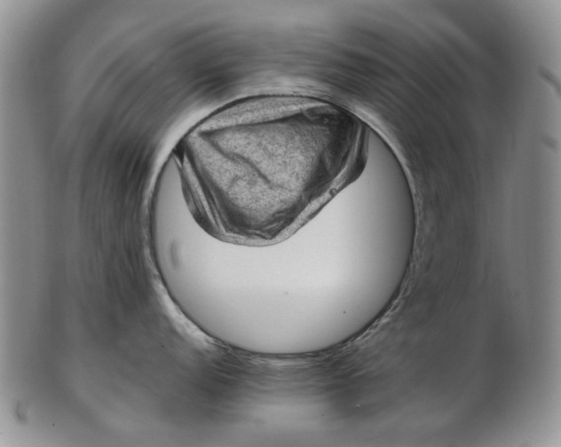 X0000103161152200809051654