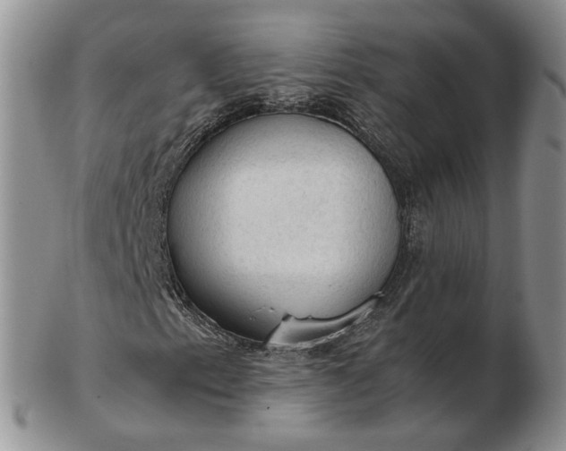 X0000103161153200809051653