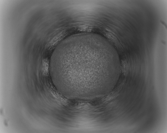 X0000103161154200809051653