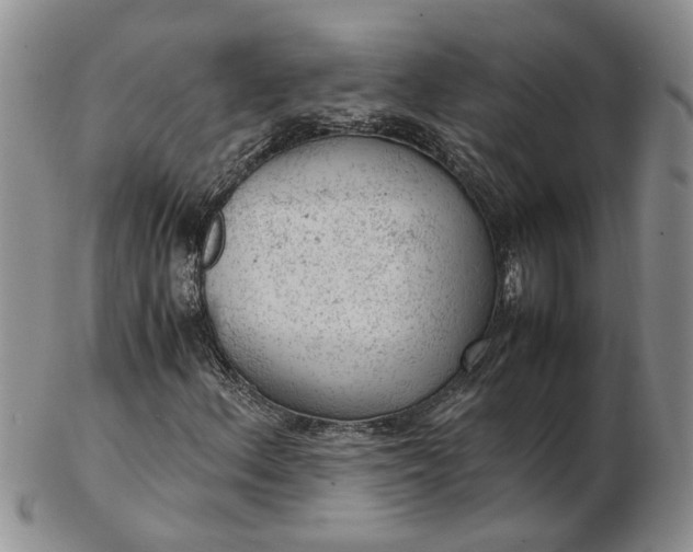 X0000103161156200809051653