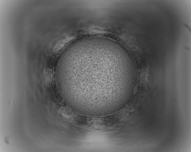 X0000103161157200809051653