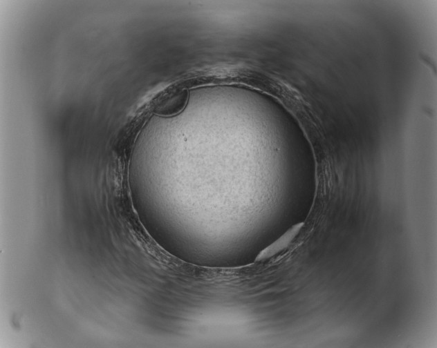 X0000103161158200809051653