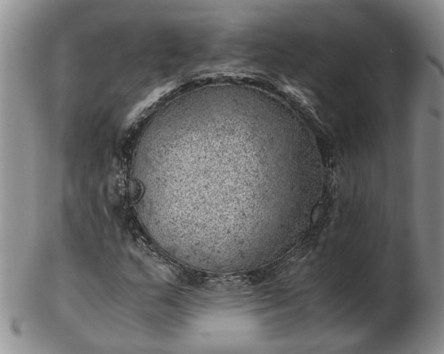 X0000103161159200809051653