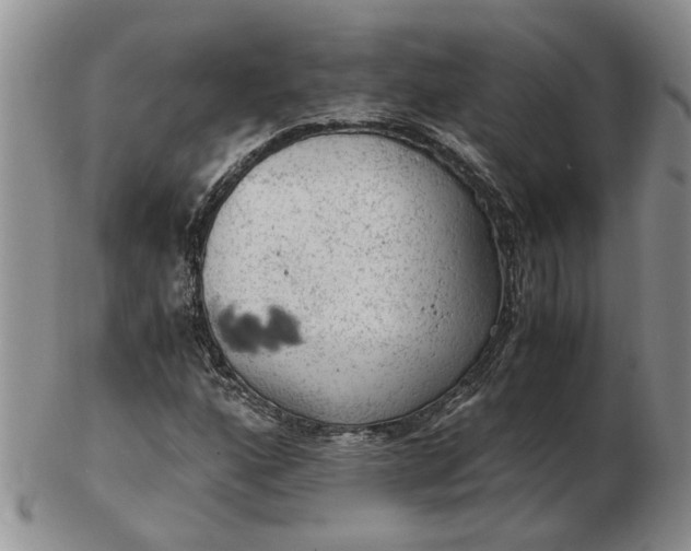 X0000103161160200809051653