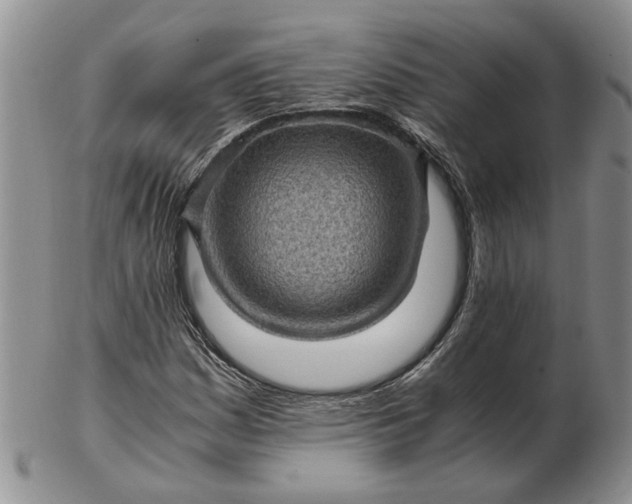 X0000103161161200809051653