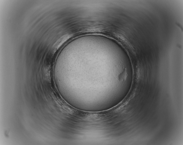 X0000103161162200809051653