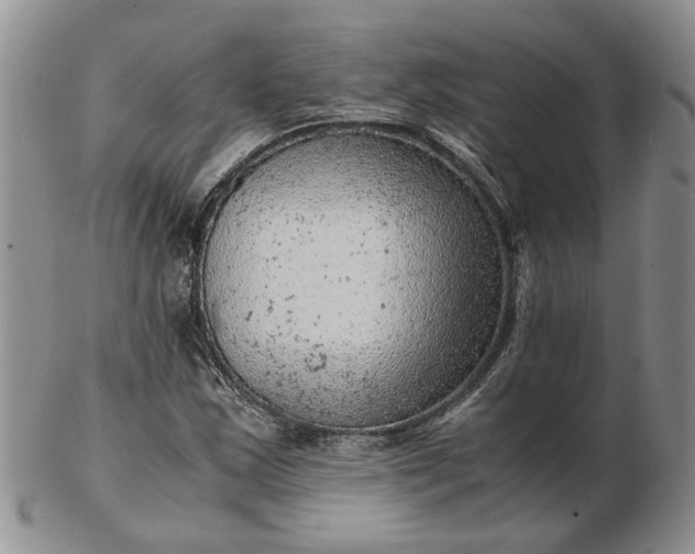 X0000103161163200809051653