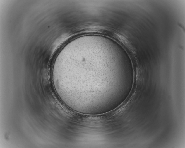 X0000103161164200809051653