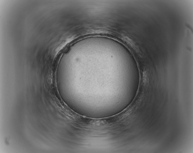 X0000103161165200809051653