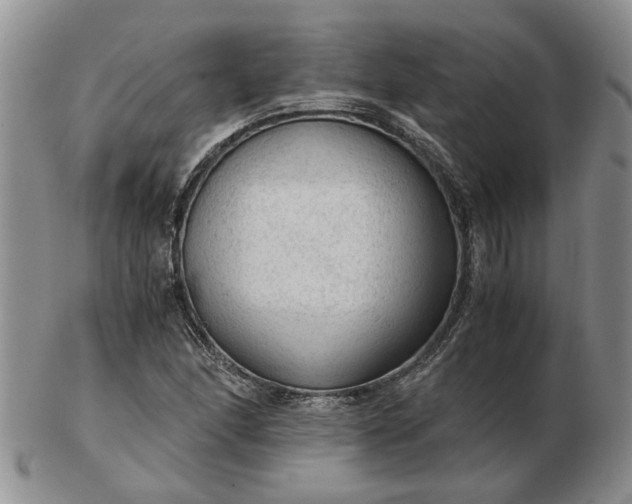 X0000103161166200809051653