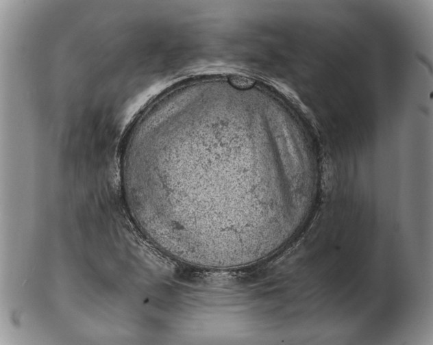 X0000103161167200809051653