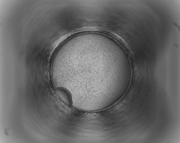 X0000103161168200809051653