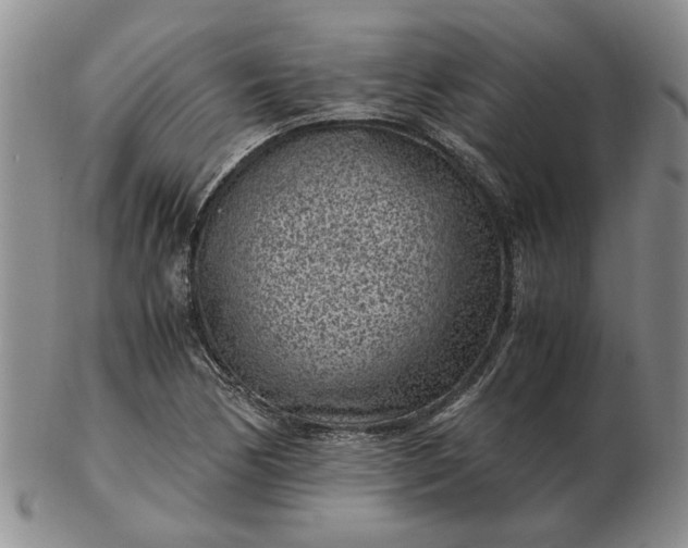 X0000103161170200809051653