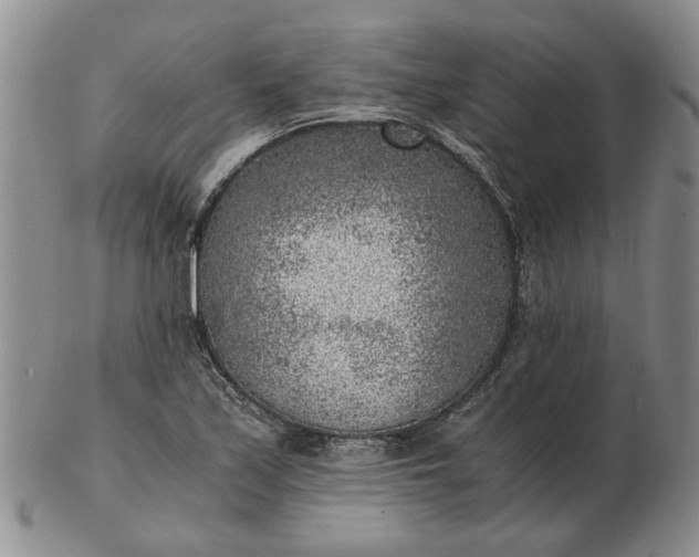 X0000103161171200809051653