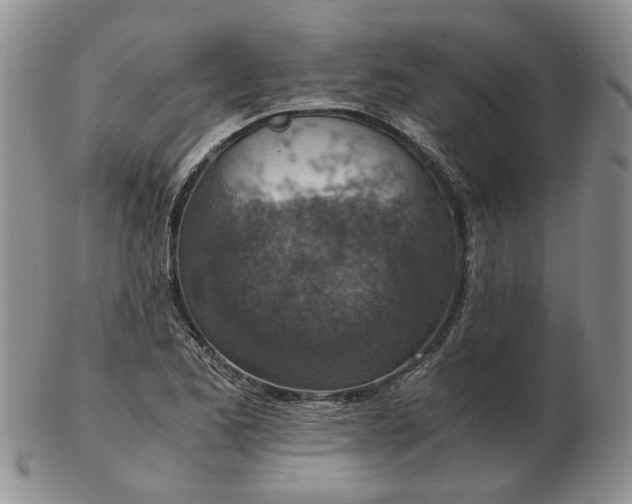 X0000103161173200809051653