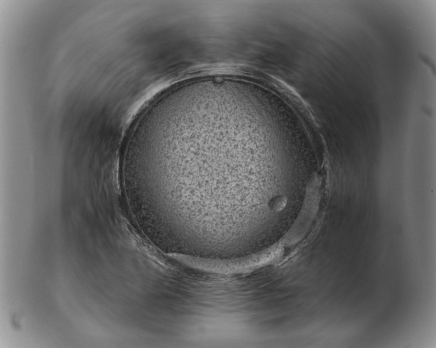 X0000103161174200809051653