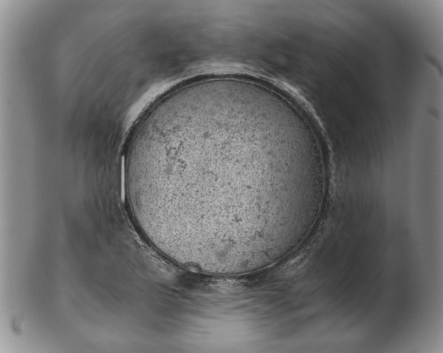 X0000103161175200809051653