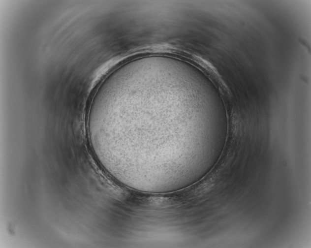 X0000103161176200809051653