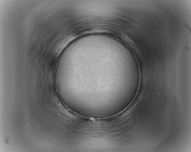 X0000103161177200809051653