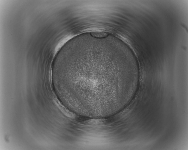 X0000103161179200809051653