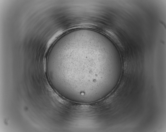 X0000103161180200809051653