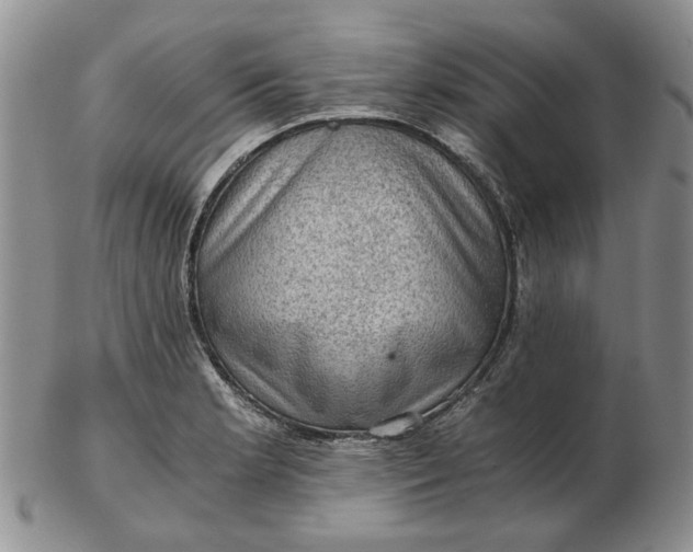 X0000103161181200809051653