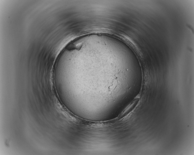 X0000103161182200809051653