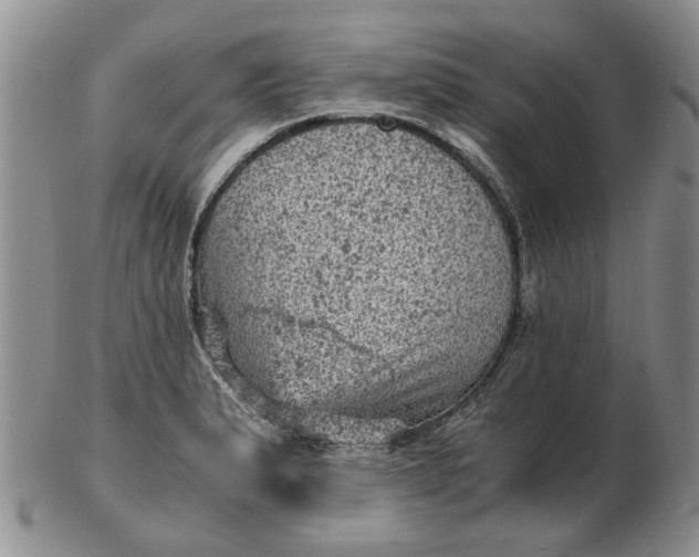 X0000103161183200809051653