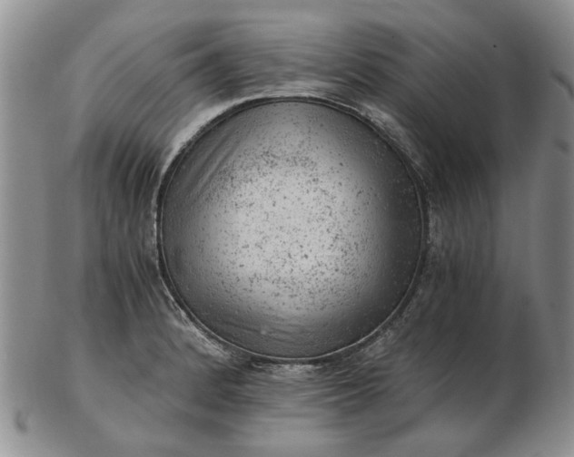 X0000103161184200809051653