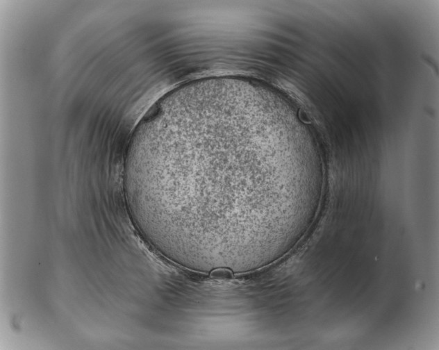 X0000103161185200809051653