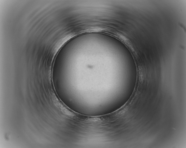 X0000103161186200809051653