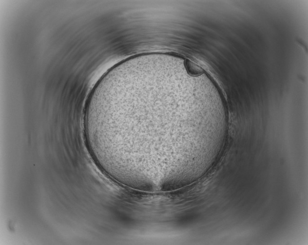 X0000103161187200809051653