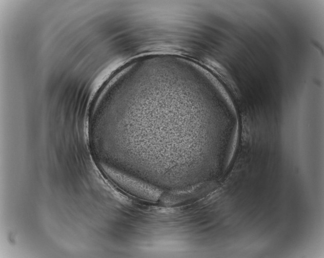 X0000103161188200809051653