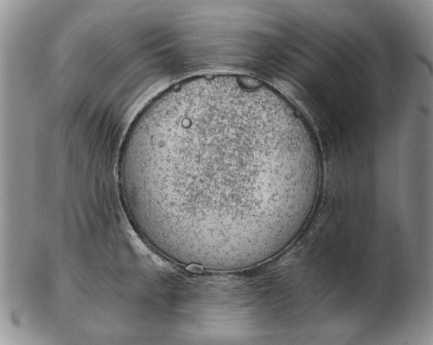 X0000103161189200809051653