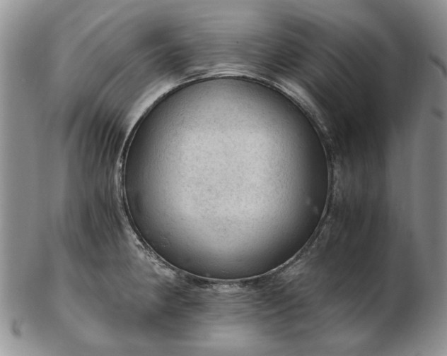 X0000103161190200809051653