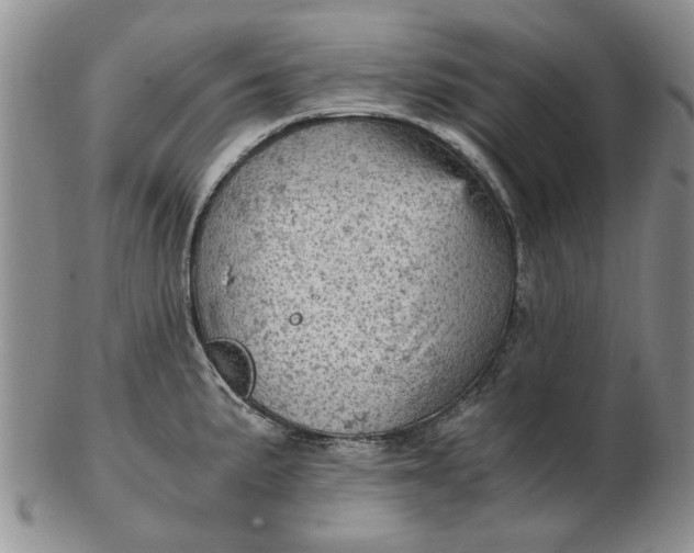 X0000103161191200809051652