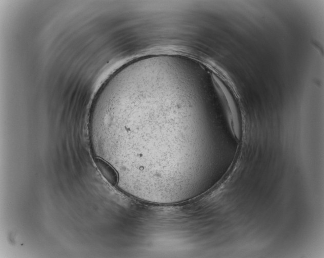 X0000103161192200809051652