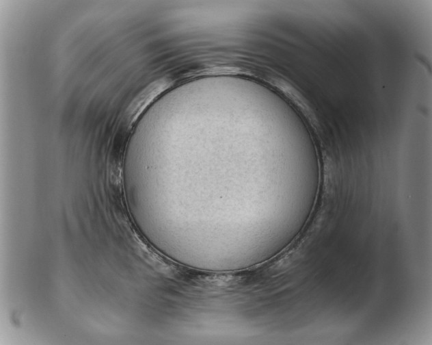 X0000103161193200809051652