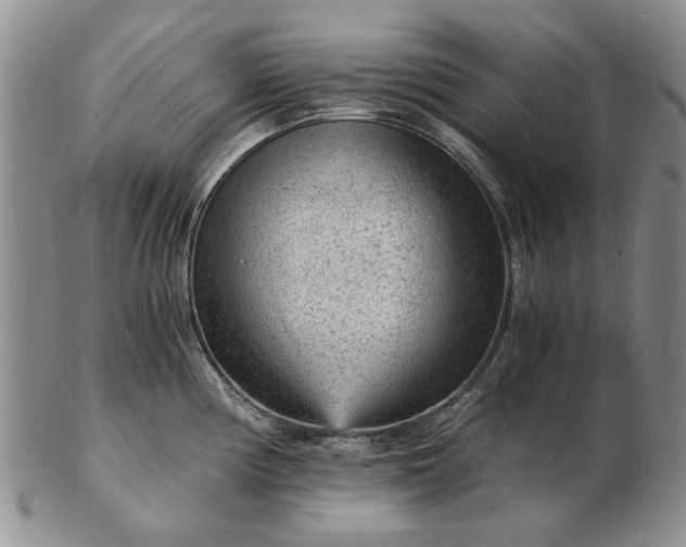 X0000103161194200809051652