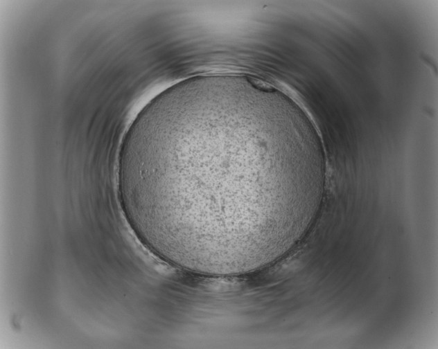 X0000103161195200809051652